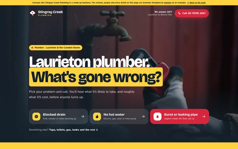 The Stingray Creek Plumbing concept homepage: a bold headline and three problem buttons over video of a wrench on a tap