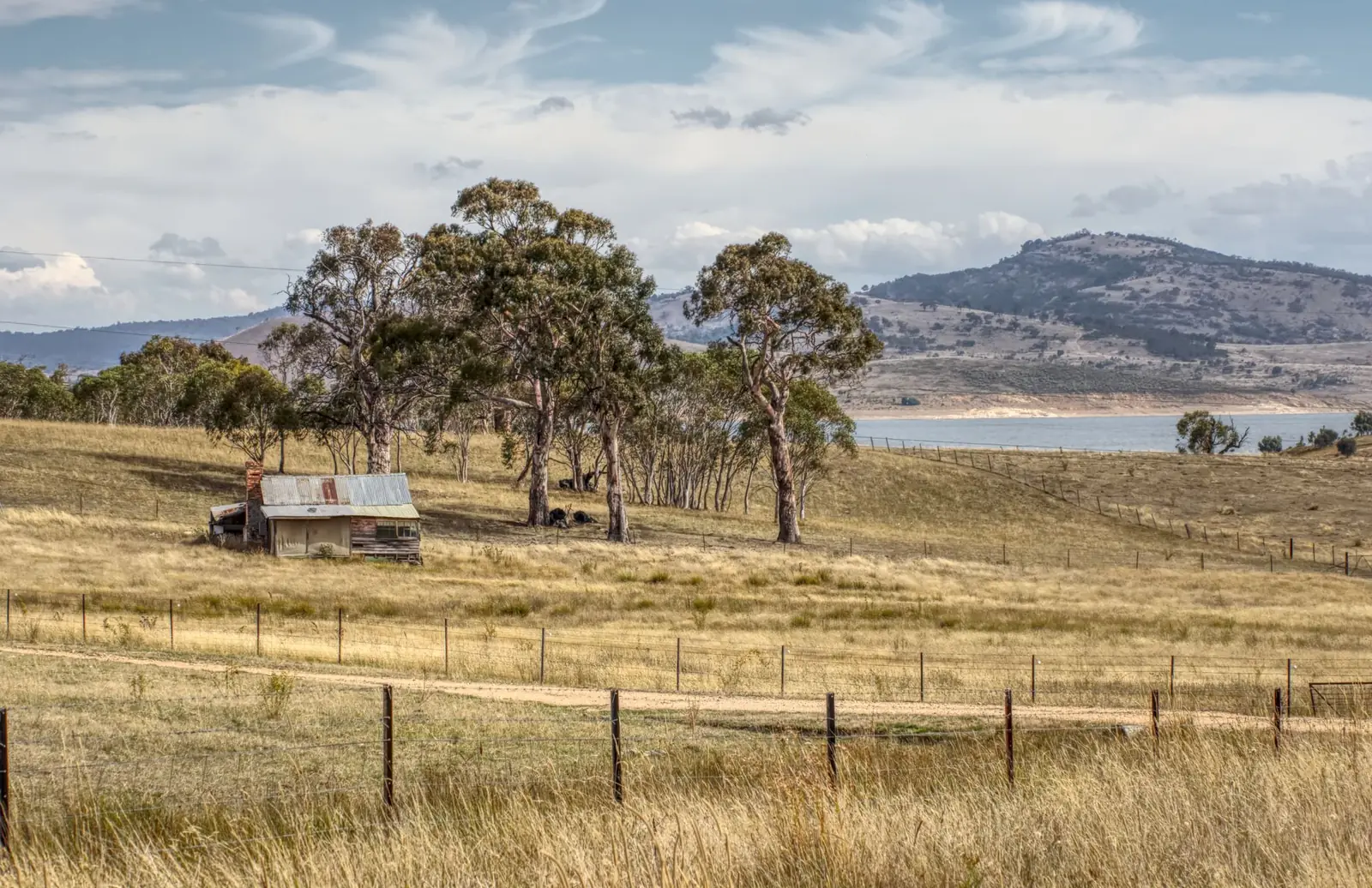Open paddock and gum trees in rolling hinterland country
